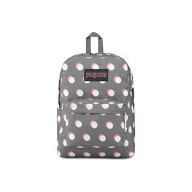 MOCHILA JANSPORT ASHB JS0A47J14S7 DOUBLE