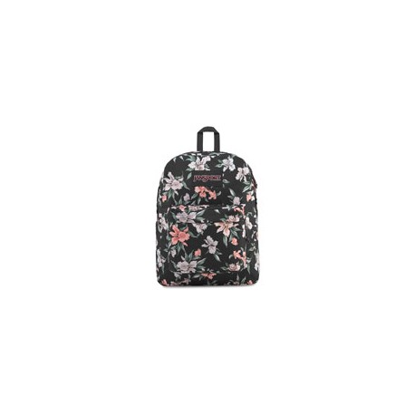 MOCHILA JANSPORT ASHB JS0A47J16N0 GREY