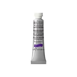PINTURA ACUARELA WINSOR AND NEWTON ARTIST 5M ...