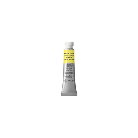PINTURA ACUARELA WINSOR AND NEWTON ARTIST 5M ...