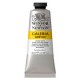 PINTURA ACRÍLICA WINSOR AND NEWTON GALERÍA 6 ...