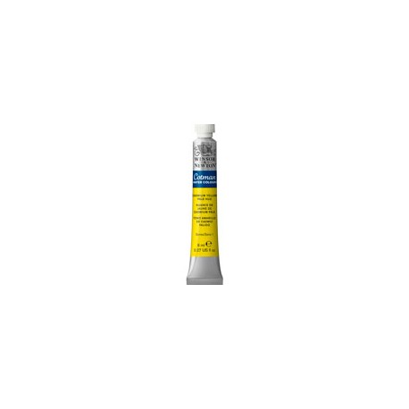 PINTURA ACUARELA WINSOR AND NEWTON COTMAN 8  ...