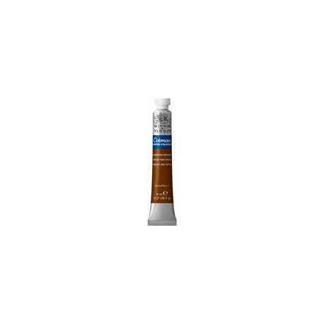 PINTURA ACUARELA WINSOR AND NEWTON COTMAN 8  ...
