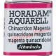 ACUARELA EN PASTILLA SCHMINCKE HORADAM S2