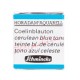 ACUARELA EN PASTILLA SCHMINCKE HORADAM S1