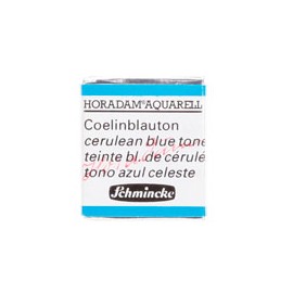 ACUARELA EN PASTILLA SCHMINCKE HORADAM S1