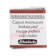 ACUARELA EN PASTILLA SCHMINCKE HORADAM S1