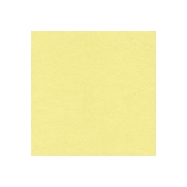 BRISTOL COLOR UNIBRISTOLINA DE 180 G 50X65 C ...