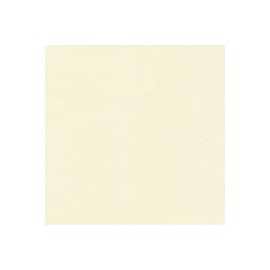 CARTULINA SUNDANCE SMOOTH DE 216 G 66X101CM