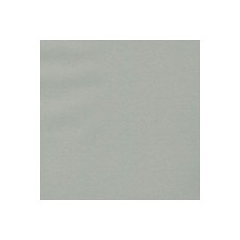 CALCA VEGETAL DE 110 G 60X90 CM SILVER