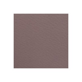 CARTULINA FIRENZE DE 160 G 70X100 CM