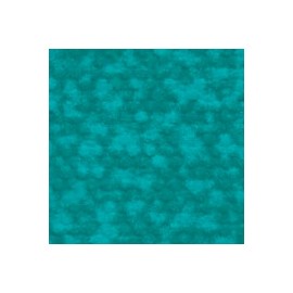 CARTULINA ARCOIRIS DE 244 G 58X89 CM