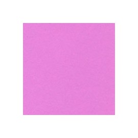CARTULINA ASTROBRIGHTS DE 176 G 58X89 CM