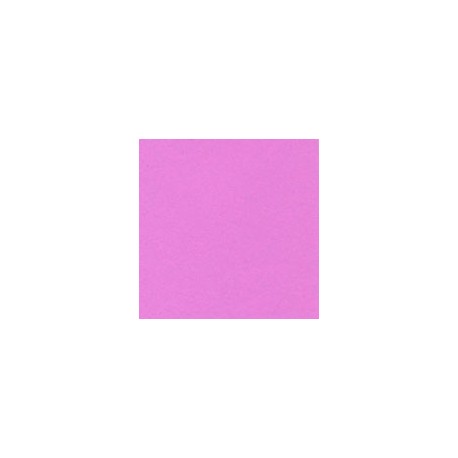 CARTULINA ASTROBRIGHTS DE 176 G 58X89 CM