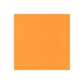CARTULINA ASTROBRIGHTS DE 176 G 58X89 CM