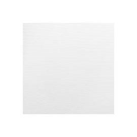 CARTULINA CORDLINE PENTA DE 244 G 58X89