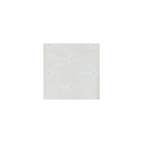 PAPEL SEGURIDAD OAK TREE 90G 56X86CM