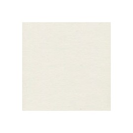PAPEL AMÉRICA