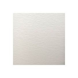 CARTULINA WILD LETTERPRESS DE 300 G 72X102 C ...
