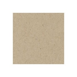 CARTULINA ENVIRONMENT DE 216 G 66X101 CM
