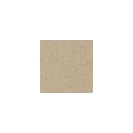 CARTULINA ENVIRONMENT DE 216 G 66X101 CM