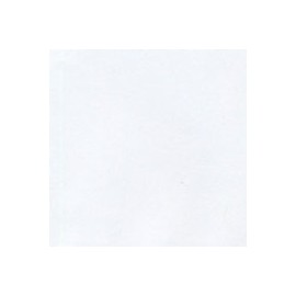 CARTULINA ENVIRONMENT DE 216 G 66X101 CM