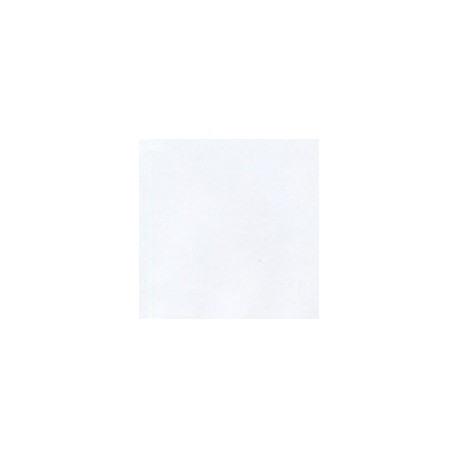 CARTULINA ENVIRONMENT DE 216 G 66X101 CM