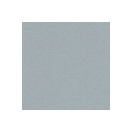 CARTULINA ENVIRONMENT DE 216 G 66X101 CM