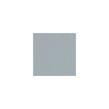 CARTULINA ENVIRONMENT DE 216 G 66X101 CM