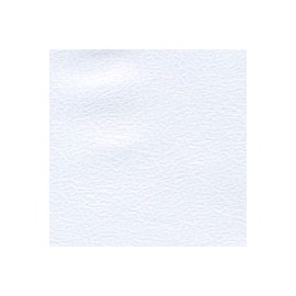 CARTULINA CONSTELLATION SNOW