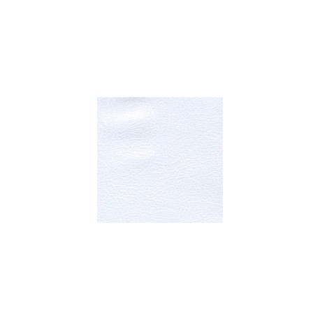 CARTULINA CONSTELLATION SNOW