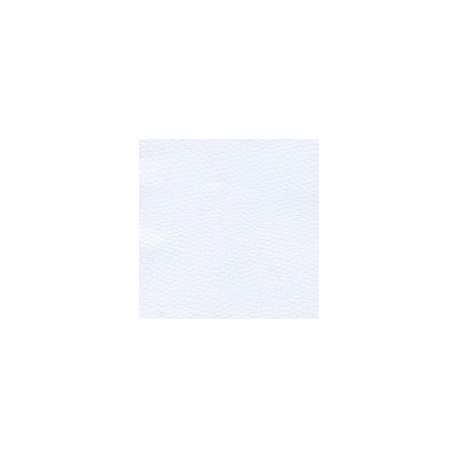CARTULINA CONSTELLATION SNOW