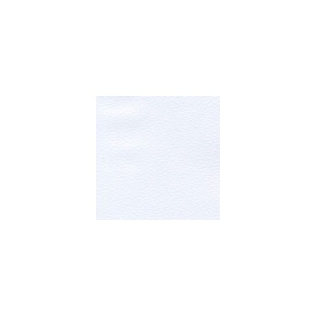 CARTULINA CONSTELLATION SNOW