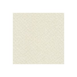 PAPEL DORE MODIGLIANI DE 125 G 72X102 CM