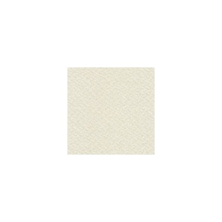 PAPEL DORE MODIGLIANI DE 125 G 72X102 CM