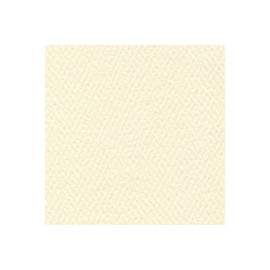 CARTULINA SUNDANCE FELT
