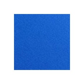 CARTULINA FIRENZE DE 160 G 70X100 CM