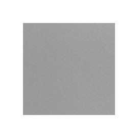 CARTULINA FIRENZE DE 160 G 70X100 CM