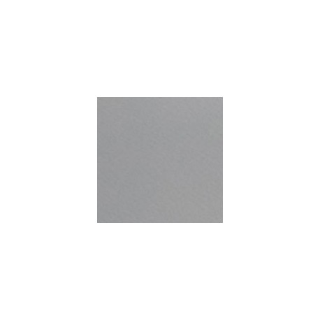 CARTULINA FIRENZE DE 160 G 70X100 CM
