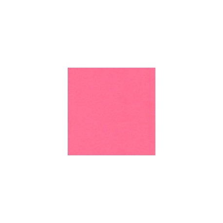 CARTULINA ASTROBRIGHTS DE 176 G 58X89 CM