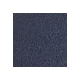 CARTULINA SIRIO COLOR DE 350 G 70X100 CM