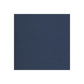 CARTULINA MI-TEINTES DE 160 G 50X65 CM