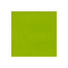 CARTULINA SO SILK DE 250 G 72X102 CM
