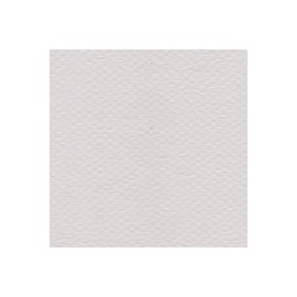 CARTULINA MI-TEINTES DE 160 G 50X65 CM