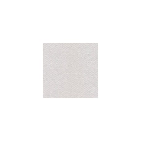 CARTULINA MI-TEINTES DE 160 G 50X65 CM