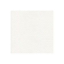 CARTULINA MI-TEINTES DE 160 G 50X65 CM