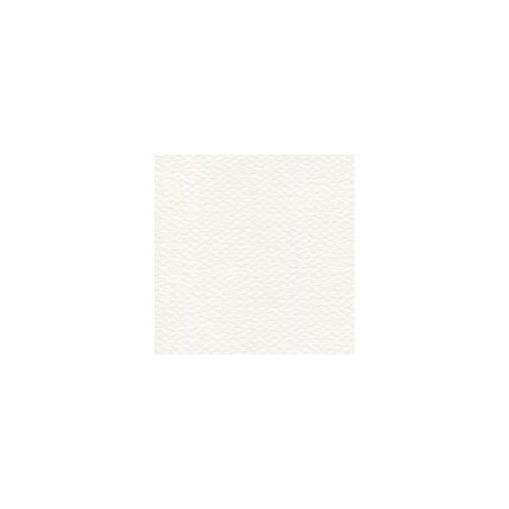 CARTULINA MI-TEINTES DE 160 G 50X65 CM
