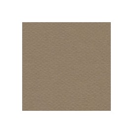 CARTULINA MI-TEINTES DE 160 G 50X65 CM