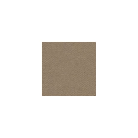 CARTULINA MI-TEINTES DE 160 G 50X65 CM