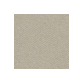 CARTULINA MI-TEINTES DE 160 G 50X65 CM
